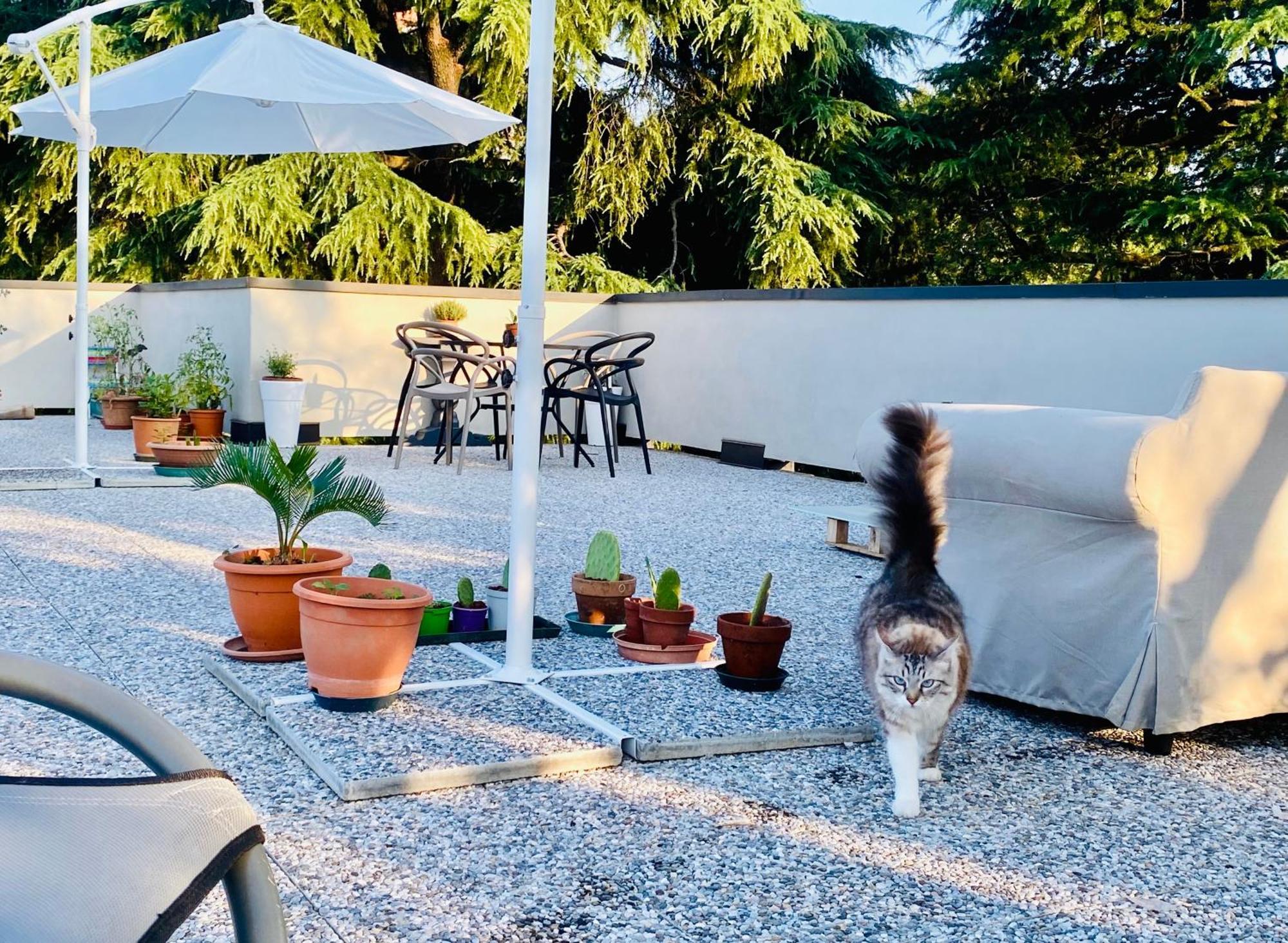 Bed and Breakfast The Luxory Cat Milán Exteriér fotografie