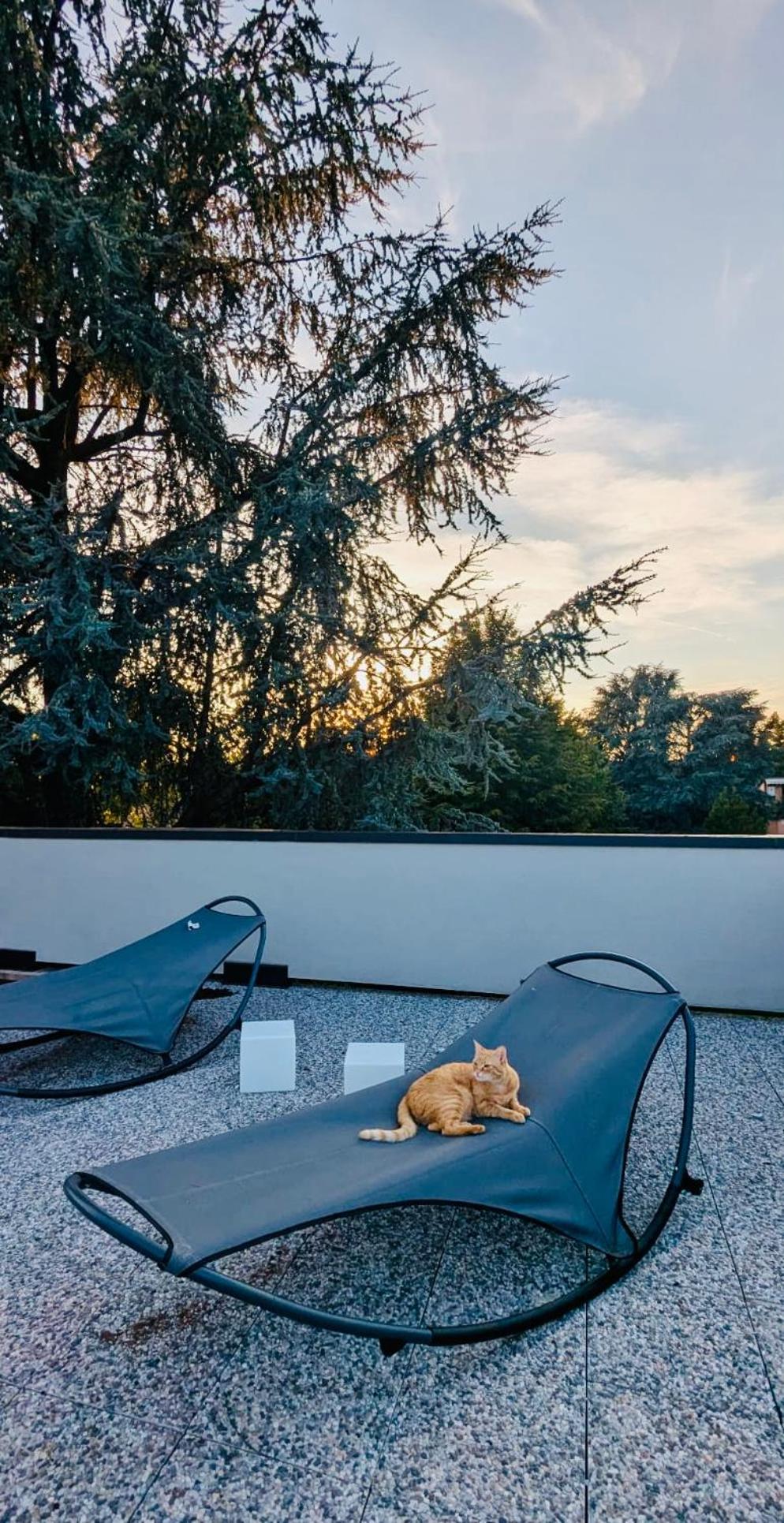 Bed and Breakfast The Luxory Cat Milán Exteriér fotografie